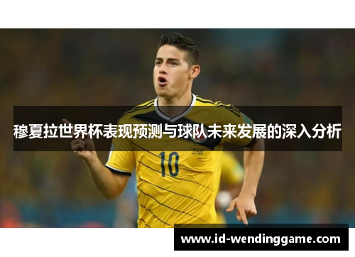 穆夏拉世界杯表现预测与球队未来发展的深入分析