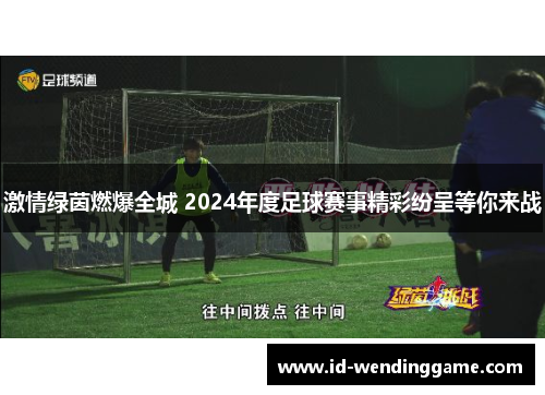 激情绿茵燃爆全城 2024年度足球赛事精彩纷呈等你来战
