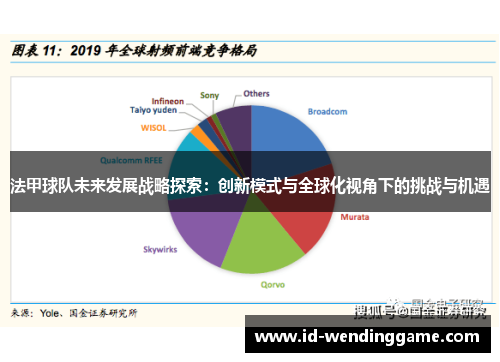 法甲球队未来发展战略探索：创新模式与全球化视角下的挑战与机遇