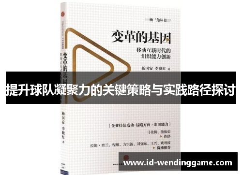 提升球队凝聚力的关键策略与实践路径探讨