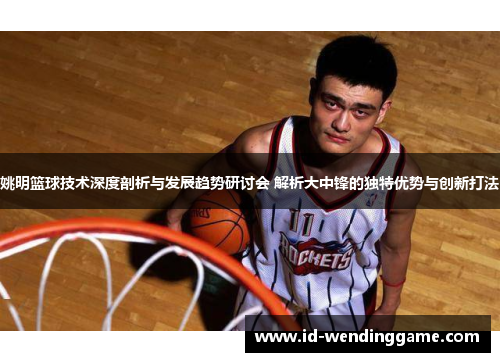 姚明篮球技术深度剖析与发展趋势研讨会 解析大中锋的独特优势与创新打法