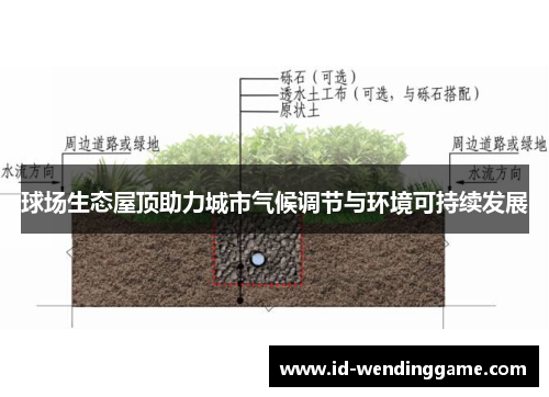 球场生态屋顶助力城市气候调节与环境可持续发展