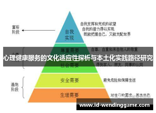 心理健康服务的文化适应性探析与本土化实践路径研究