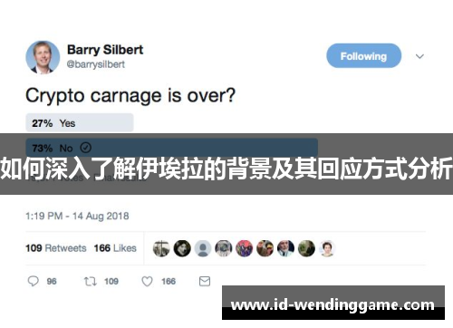 如何深入了解伊埃拉的背景及其回应方式分析