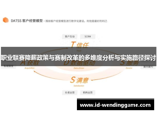 职业联赛降薪政策与赛制改革的多维度分析与实施路径探讨