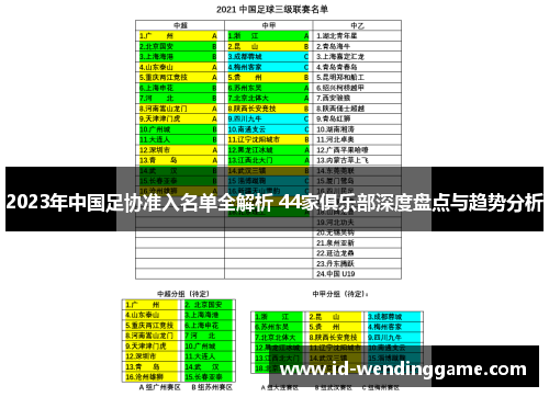 2023年中国足协准入名单全解析 44家俱乐部深度盘点与趋势分析